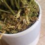 Artificial Monstera Plants in Ceramic Pots x 2 Image 6