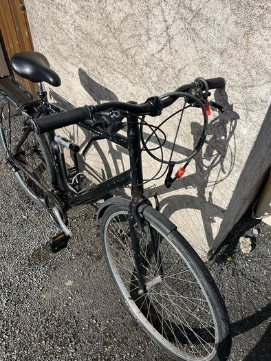 Adult Bike