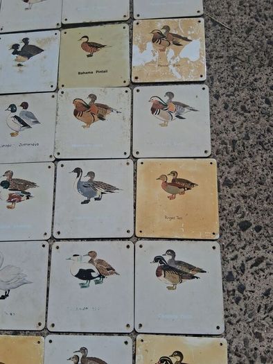 37 X Mid Century Avian Metal Display Plaques
