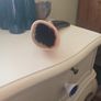 viking drinking horn handmade at the hill of uisneach summer solstice festival Image 2