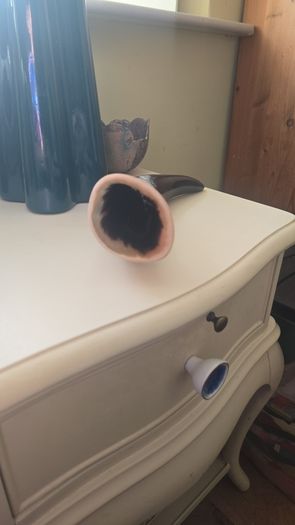 viking drinking horn handmade at the hill of uisneach summer solstice festival
