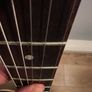 Gibson Es 335 Image 4