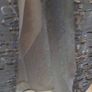Ladies new dress never worn size S Image 4