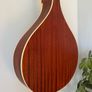 2025 Richwood Heritage Bouzouki Image 7