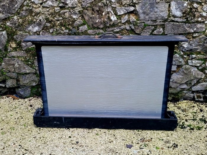 Mid-century projector screen
