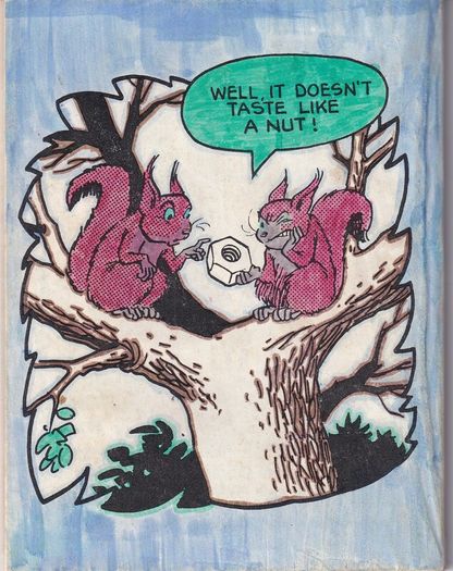 Girl Picture Library #5 Cathys Crusade 1984 Fleetway Comic