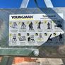 Youngman 79 Rung Telescopic Platform Ladder Image 5