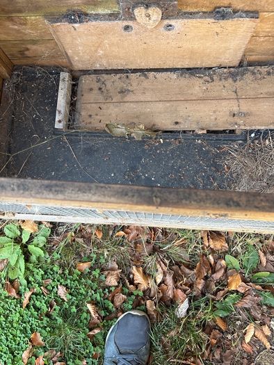 Rabbit Hutch