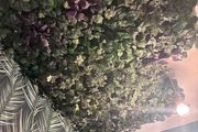 faux plant tiles Ikea 21 tiles