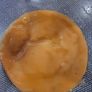 kombucha scoby & Starter Tea Image 2