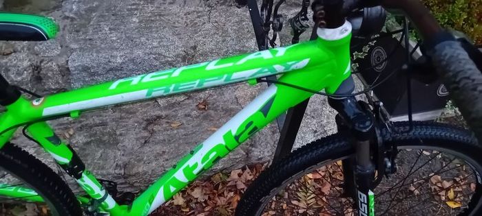 Mountain Bike Bargin