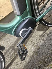 raleigh motus