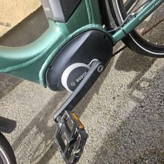 raleigh motus
