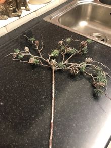 Christmas Decorations new
