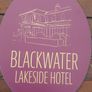 2 x blackwater lakeside hotel advertising signs ,not metal,lovely advertising display items,,buyer collects or pays postage thank you,,price for both ,or sell separate,sold as seen . Image 2