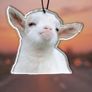 Funny Novelty Car Air Fresheners - Pick Your Favourite! (Mix & Match Bundle) Image 8
