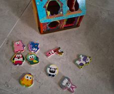 Shed Puzzle