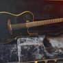 Godin Multiac Steel Duet Image 3