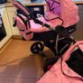buggy Image 5