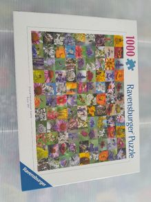 1000 Piece Jigsaw