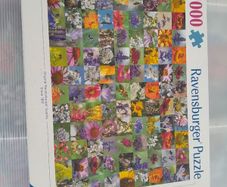 1000 Piece Jigsaw