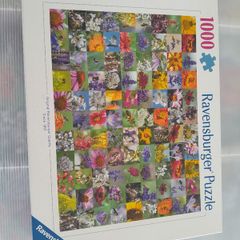 1000 Piece Jigsaw