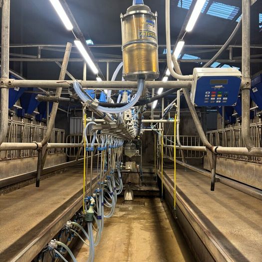 10 Unit Dairymaster Parlour