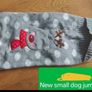 dog Image 3