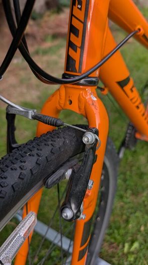 Giant Arx 24 kids bike