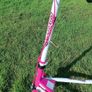 Sporter Scooter 3 Wheel Swing Image 3