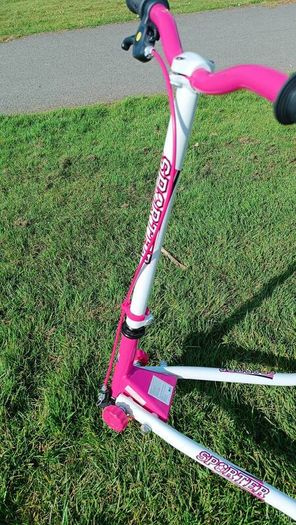 Sporter Scooter 3 Wheel Swing