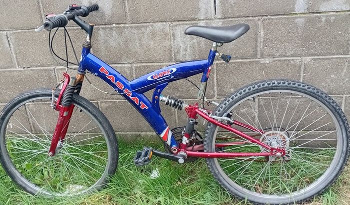 Passat Mens Bike