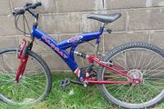 Passat Mens Bike