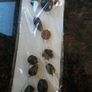 Curtain tie backs Image 2