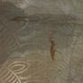 antique China cabinet Image 3