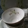 Twenty One Piece China Teaset Image 9