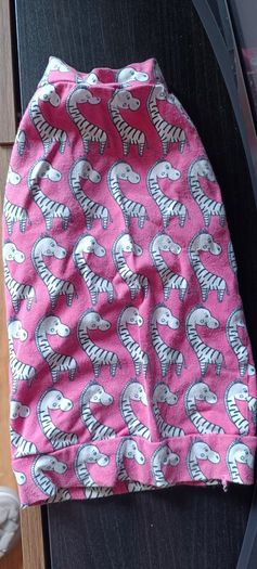 sphynx cat clothes