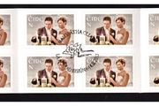 2013 Ireland Wedding Stamp Booklet Fine Used With Dublin Pictorial Cancel (first day)