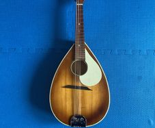 guitar and mandolin projects