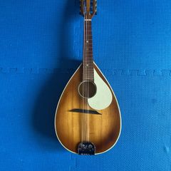 guitar and mandolin projects