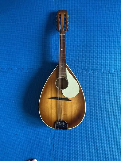 guitar and mandolin projects