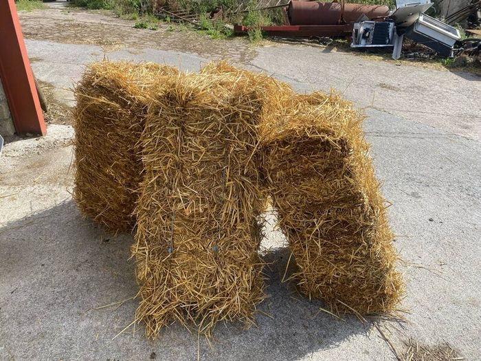 Small square bales of straw