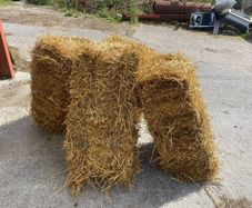 Small square bales of straw