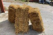 Small square bales of straw