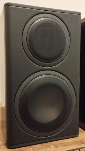 High-End Speakers, Monitor Audio Platinum PL100 II (Including Custom  Stands)