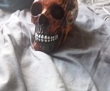 Ceramic skull