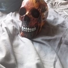 Ceramic skull