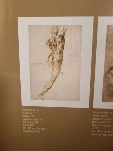 Michelangelo Prints