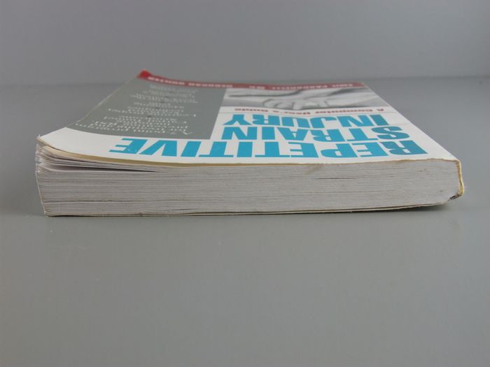 Repetitive Strain Injury: A Computer User's Guide by Emil Pascarelli