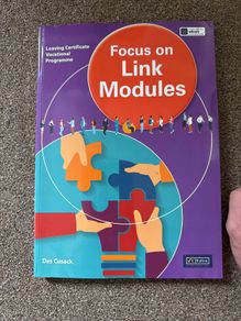 Leaving Cert Focus on Link Modules